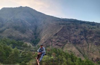 Selayang Pandang Jatiarjo