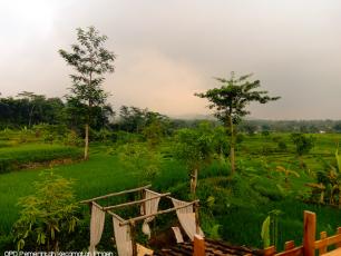 Selayang Pandang Watuagung