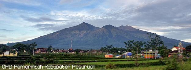 Selayang Pandang Pecalukan