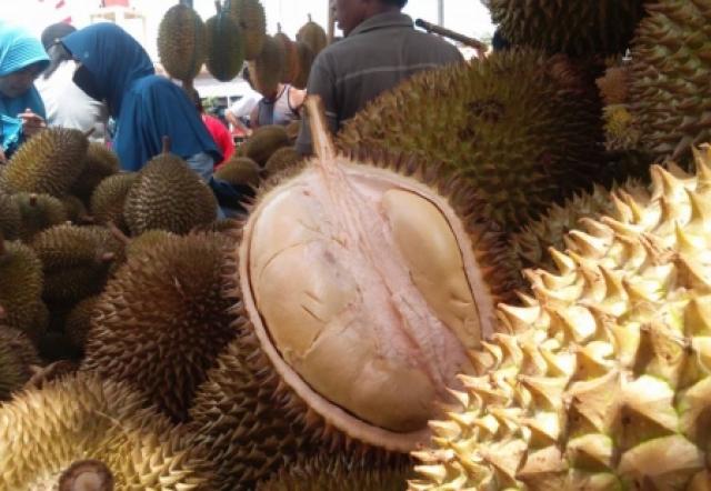 Festival Durian Kakap