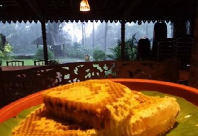 Budidaya Lebah Madu - Kecamatan Prigen