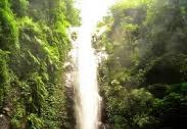 Air Terjun Kakek Bodho - Kecamatan Prigen